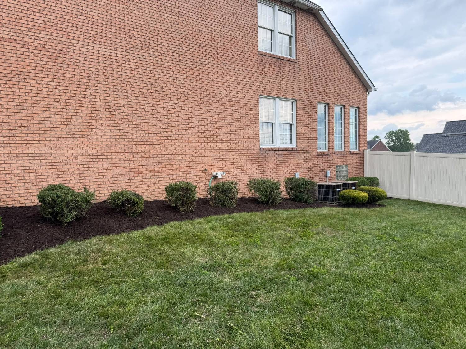 Freshly mulched foundation planting bed with shrubs along a brick house