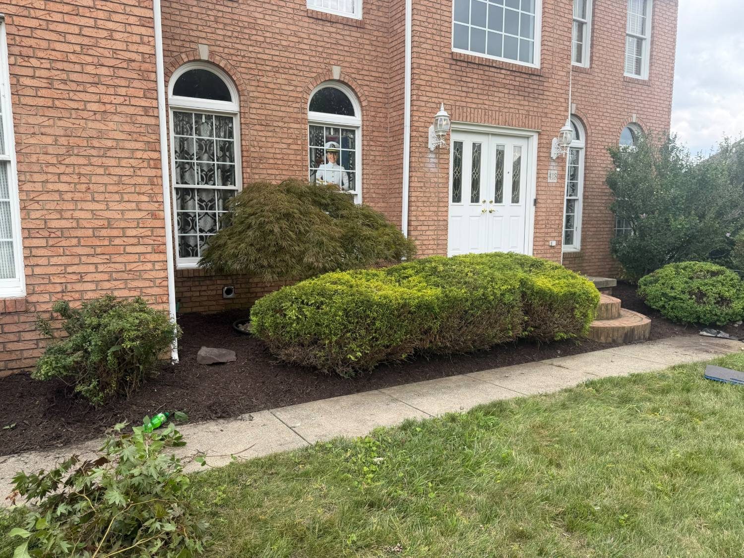 Neatly trimmed hedge and shrubs along a home entrance walkway