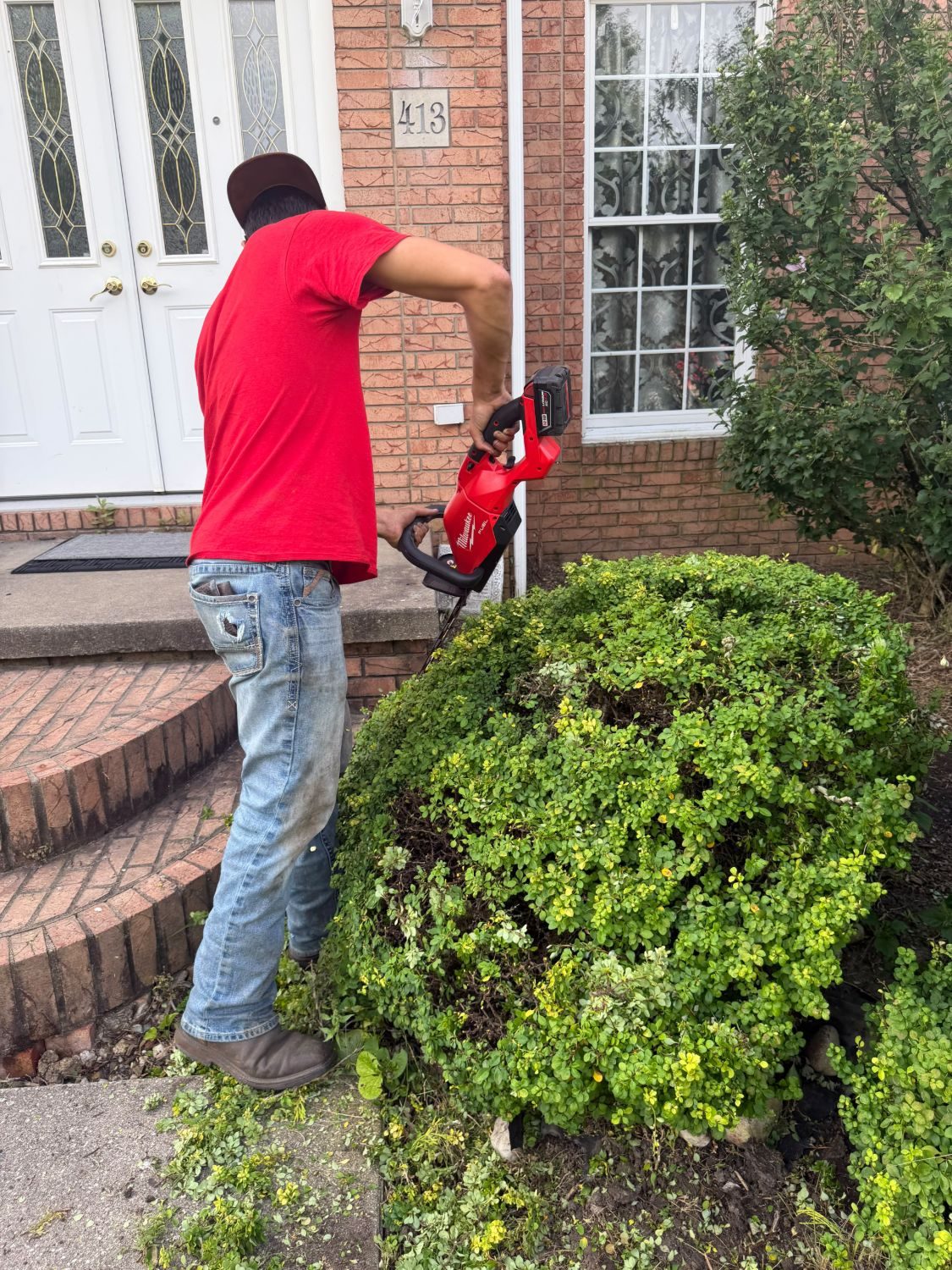 Crew member trimming a hedge with a powered trimmer at a home entrance